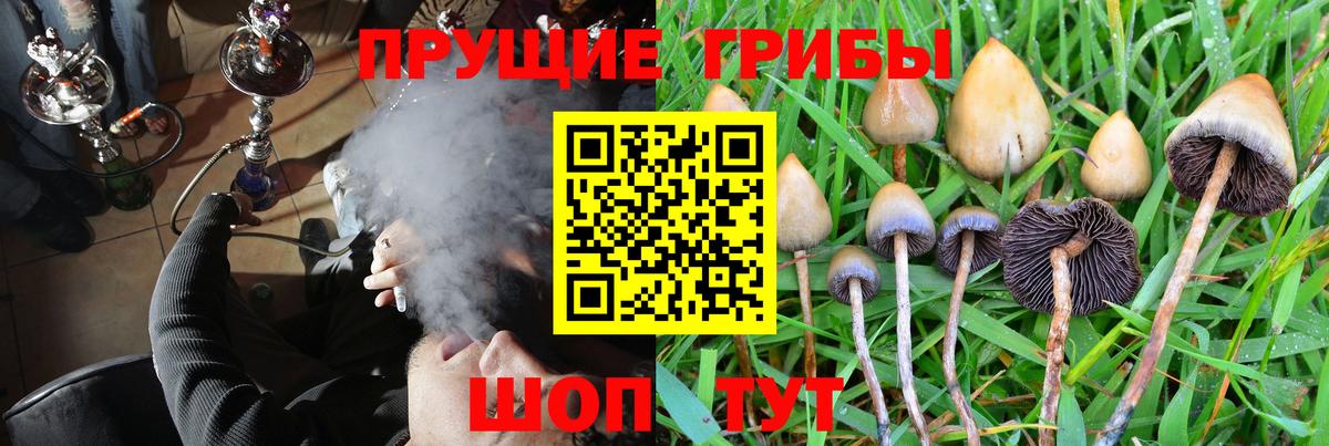 Псилоцибиновые грибы MAGIC MUSHROOMS Сатка