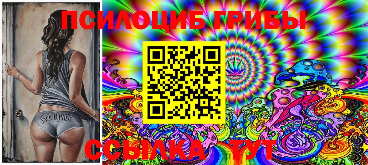 Сатка  Галлюциногенные грибы MAGIC MUSHROOMS  цена наркотик  Вход с VPN  Галлюциногенные грибы Psilocybine cubensis 